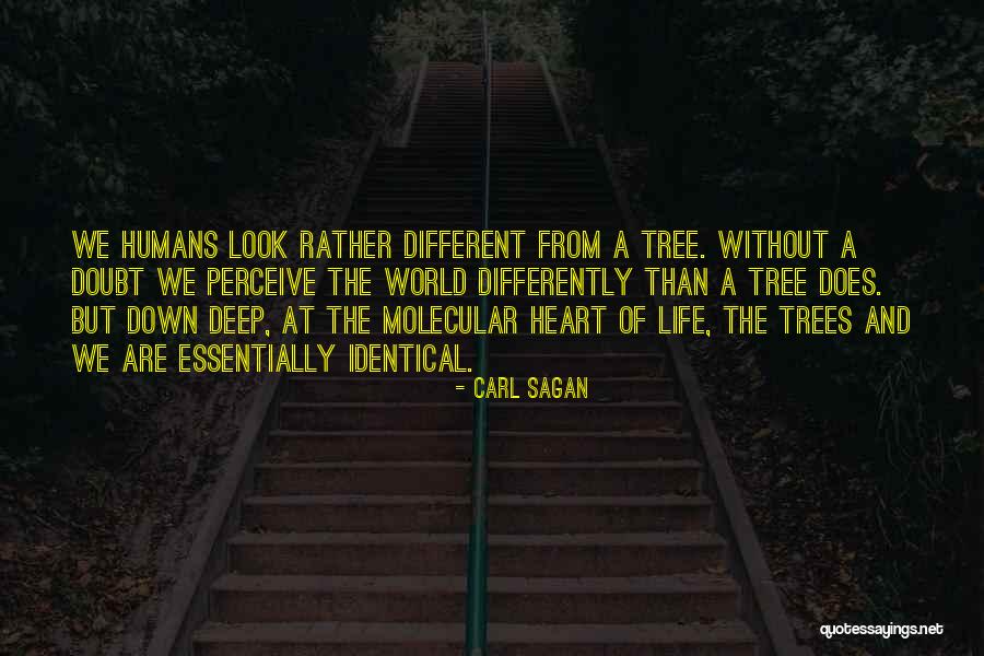 Look At Life Differently Quotes By Carl Sagan