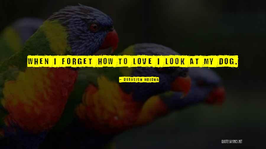 Look At My Life Quotes By Debasish Mridha Look At My Life Quotes By Debasish Mridha