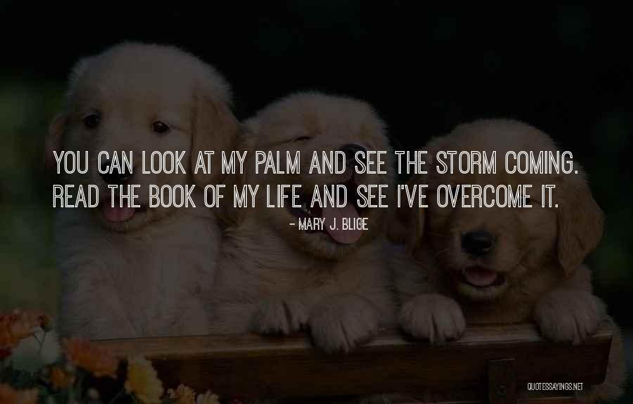 Look At My Life Quotes By Mary J. Blige Look At My Life Quotes By Mary J. Blige