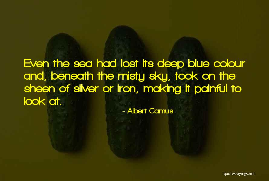 Look At Sea Quotes By Albert Camus