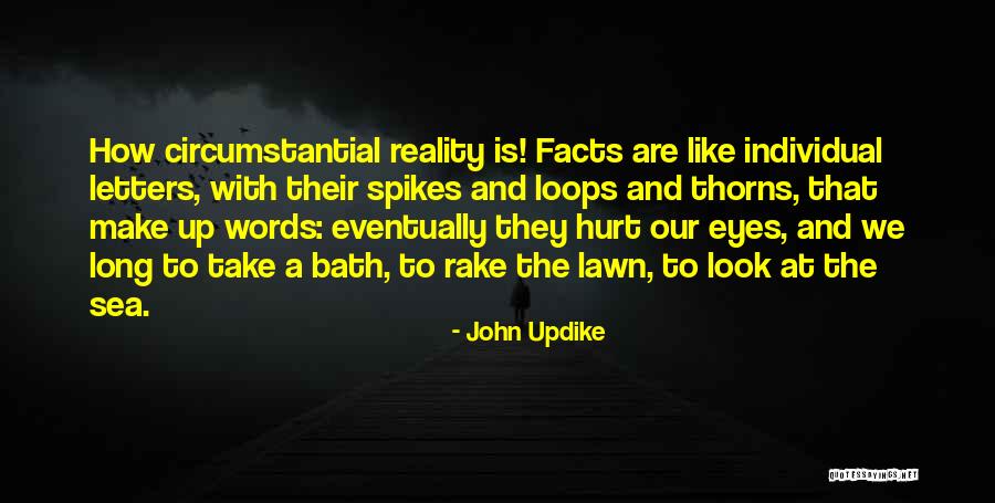 Look At Sea Quotes By John Updike