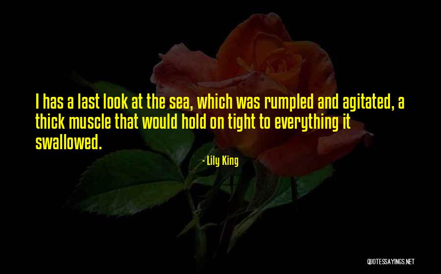 Look At Sea Quotes By Lily King