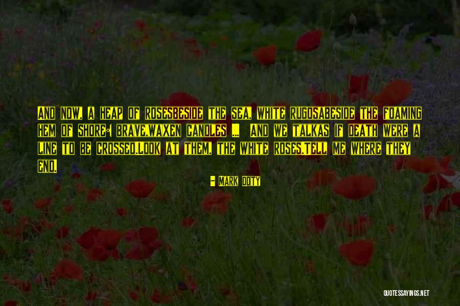 Look At Sea Quotes By Mark Doty Look At Sea Quotes By Mark Doty