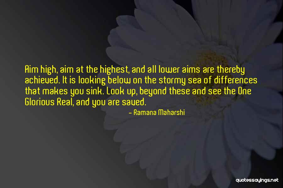 Look At Sea Quotes By Ramana Maharshi