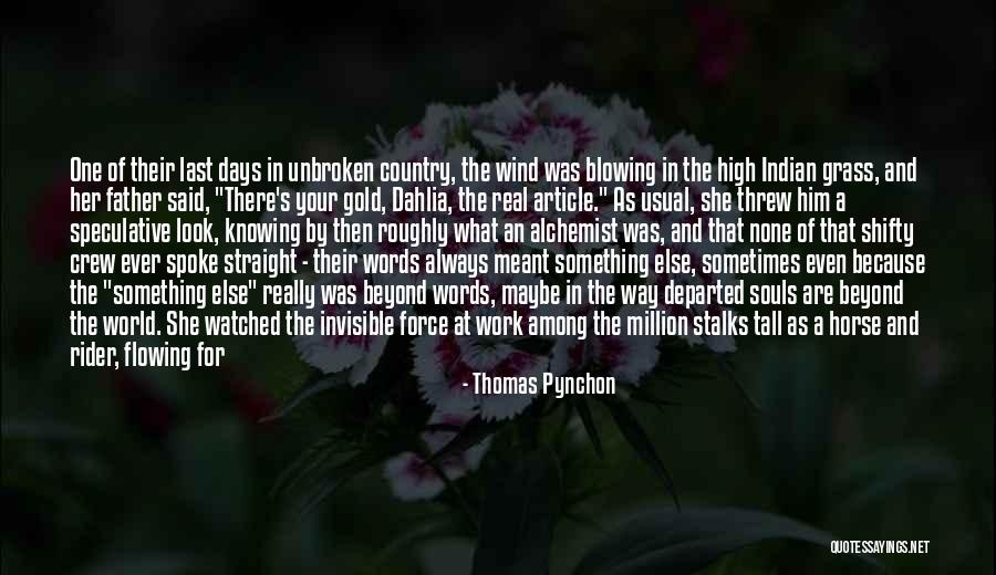 Look At Sea Quotes By Thomas Pynchon Look At Sea Quotes By Thomas Pynchon