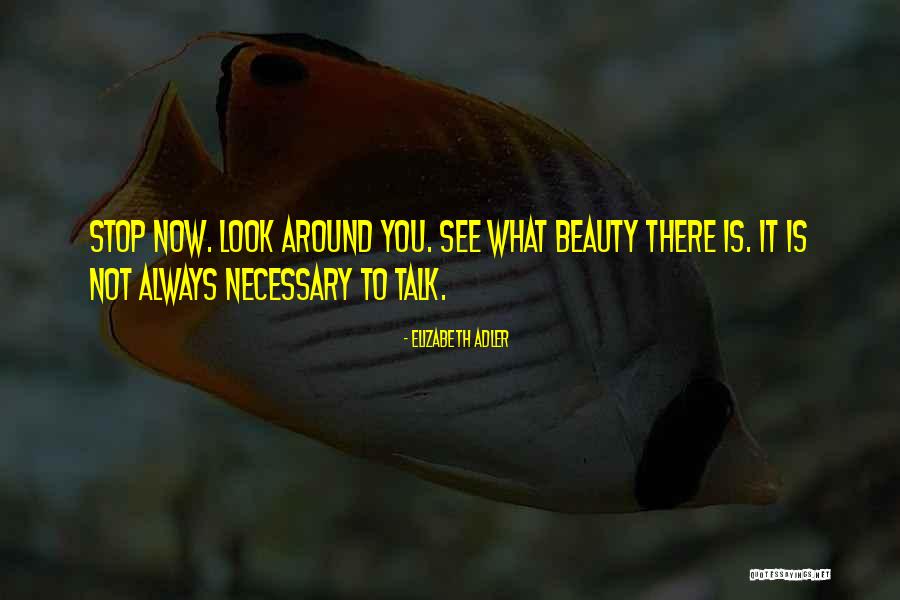 Look At The Beauty Around You Quotes By Elizabeth Adler Look At The Beauty Around You Quotes By Elizabeth Adler