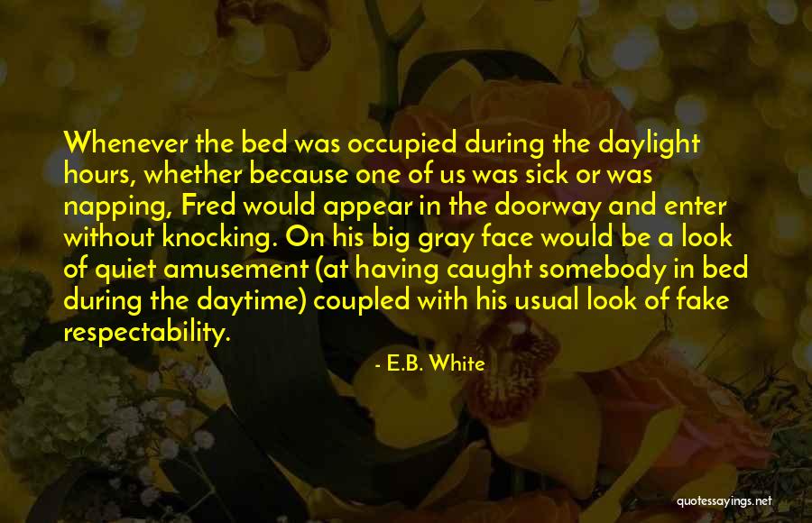 Look At The Big Quotes By E.B. White Look At The Big Quotes By E.B. White