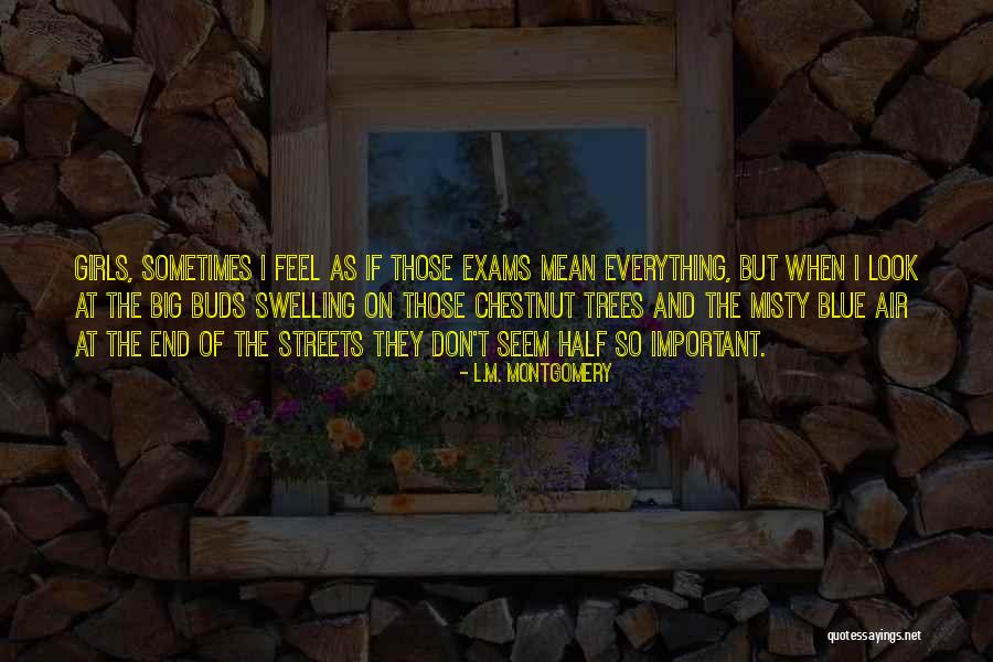 Look At The Big Quotes By L.M. Montgomery Look At The Big Quotes By L.M. Montgomery