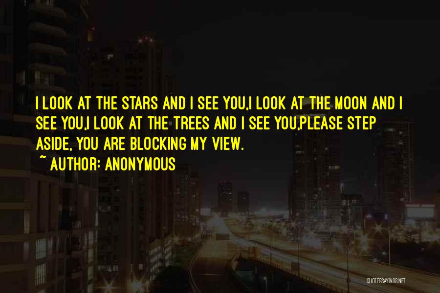 Look At The Moon Quotes By Anonymous