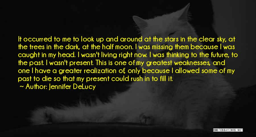 Look At The Moon Quotes By Jennifer DeLucy