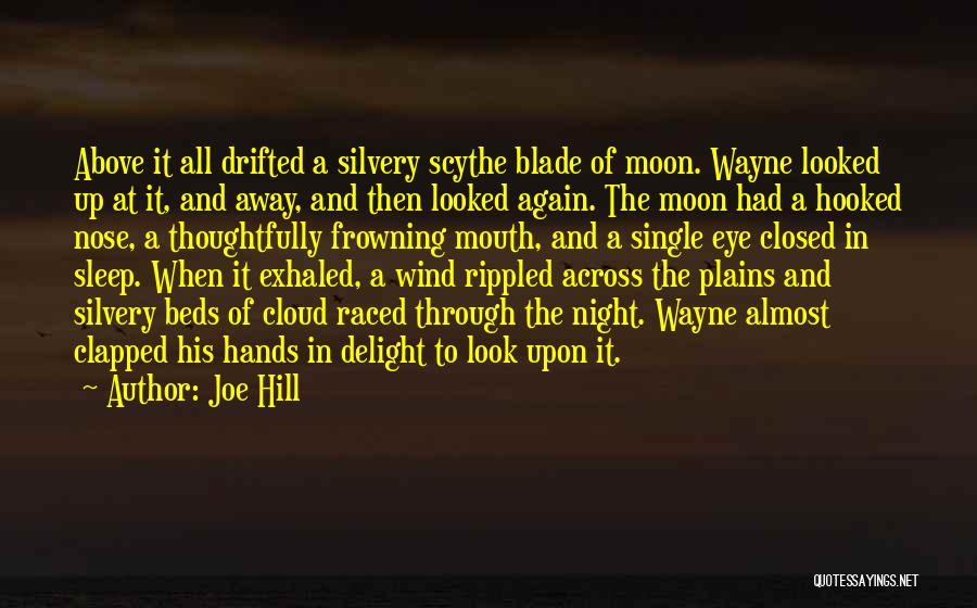 Look At The Moon Quotes By Joe Hill