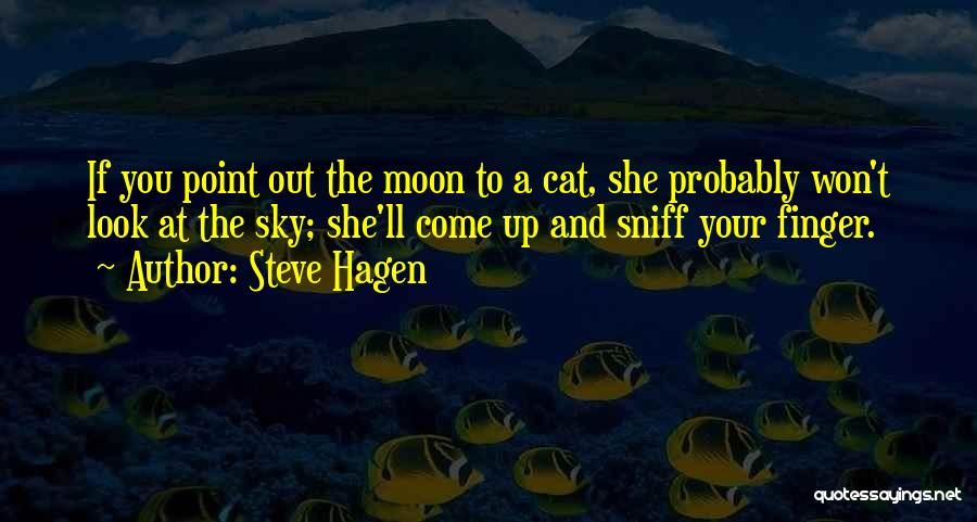 Look At The Moon Quotes By Steve Hagen