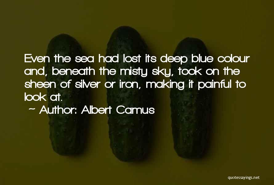 Look At The Sea Quotes By Albert Camus