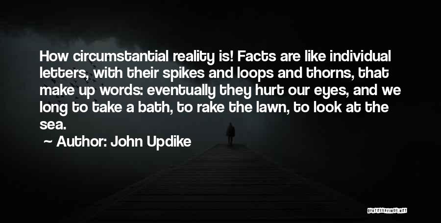 Look At The Sea Quotes By John Updike