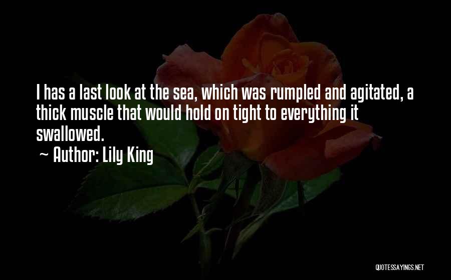 Look At The Sea Quotes By Lily King