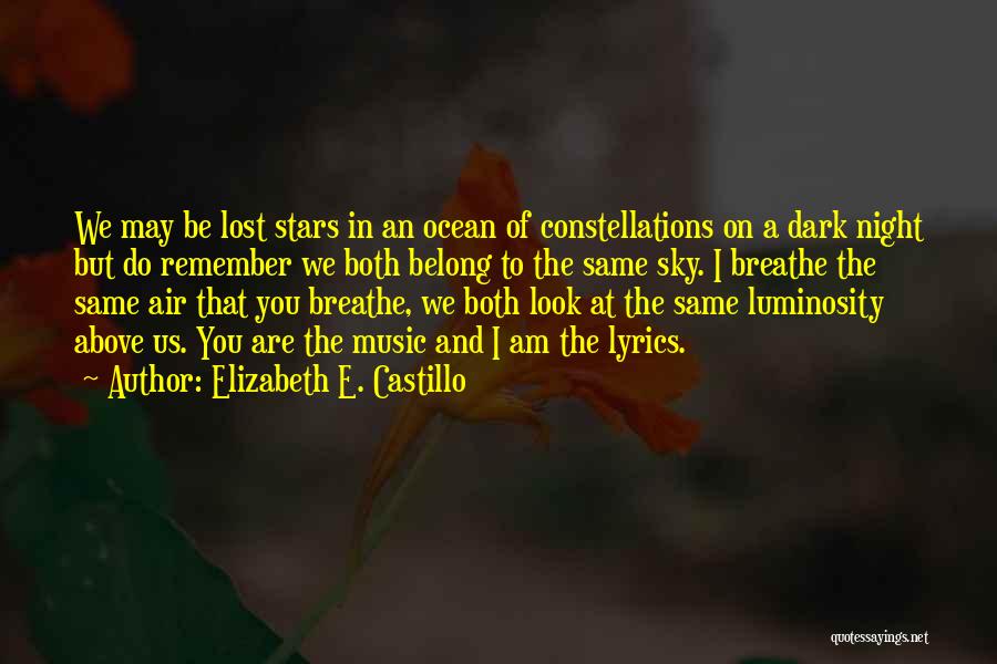 Look At The Stars Quotes By Elizabeth E. Castillo