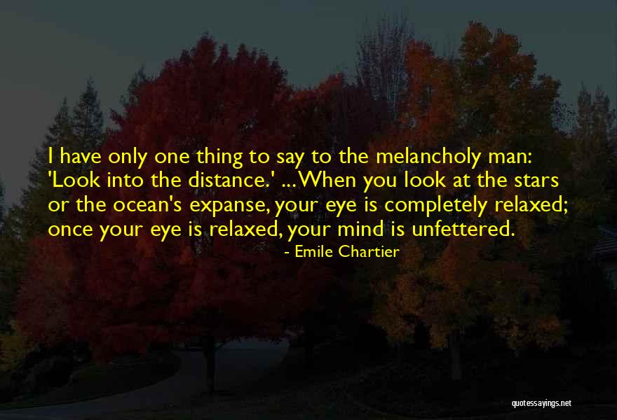 Look At The Stars Quotes By Emile Chartier