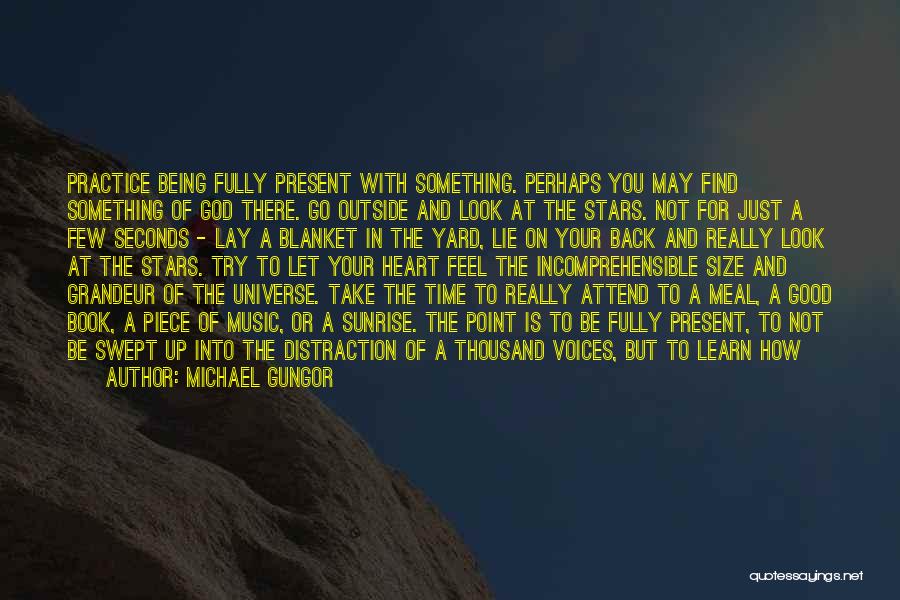 Look At The Stars Quotes By Michael Gungor