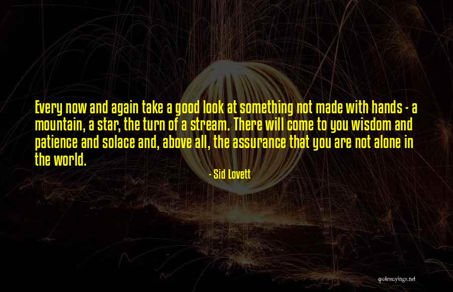 Look At The Stars Quotes By Sid Lovett