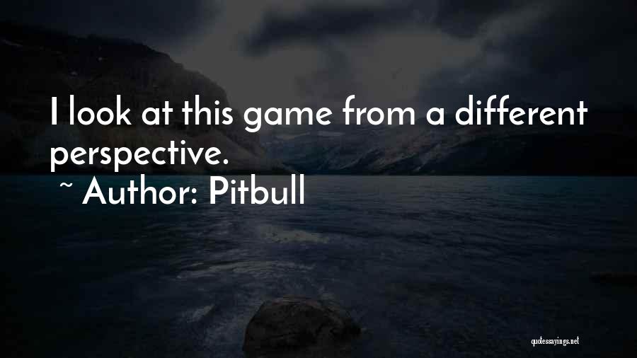 Look At Things From A Different Perspective Quotes By Pitbull