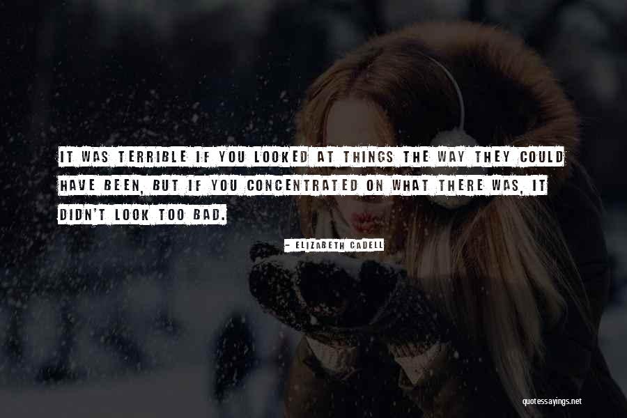 Look At What You Have Quotes By Elizabeth Cadell Look At What You Have Quotes By Elizabeth Cadell