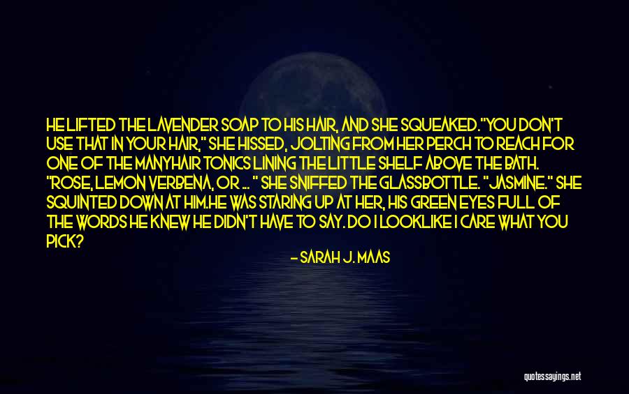 Look At What You Have Quotes By Sarah J. Maas Look At What You Have Quotes By Sarah J. Maas