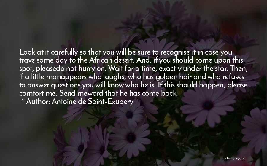 Look Back At Quotes By Antoine De Saint-Exupery