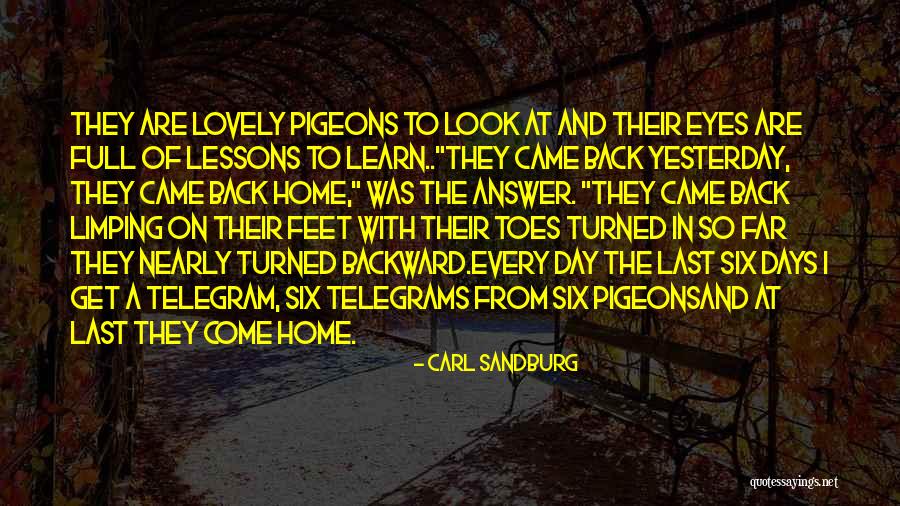 Look Back At Quotes By Carl Sandburg Look Back At Quotes By Carl Sandburg