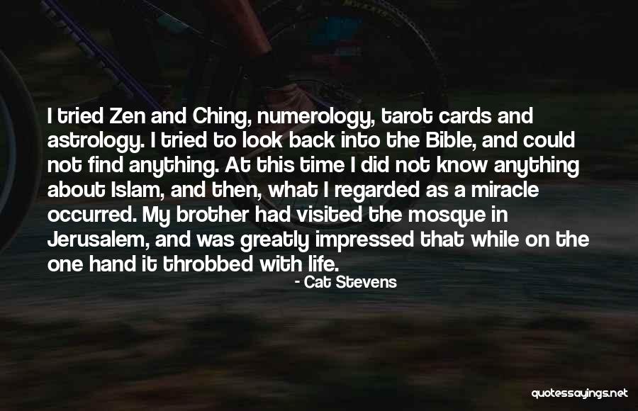 Look Back At Quotes By Cat Stevens Look Back At Quotes By Cat Stevens