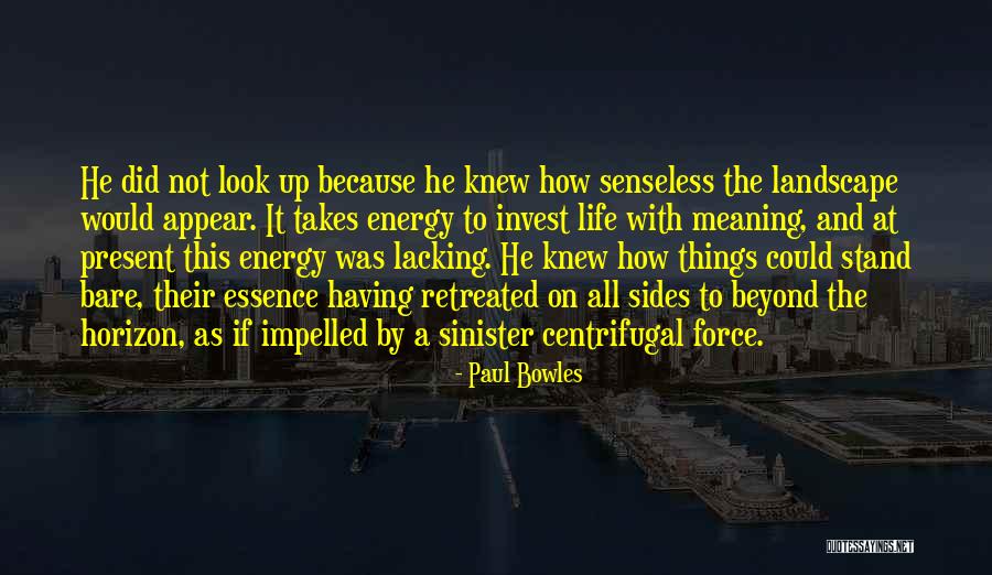 Look Beyond The Horizon Quotes By Paul Bowles