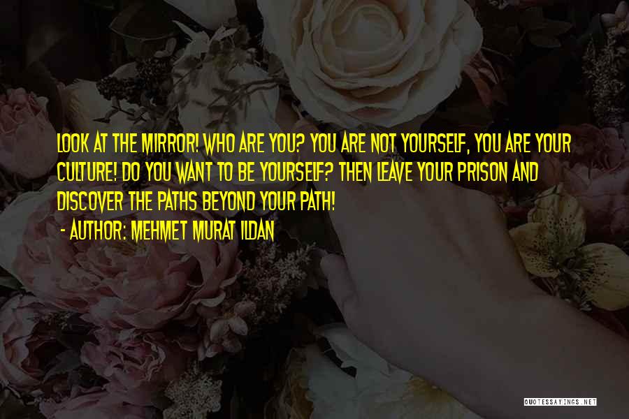 Look Beyond Yourself Quotes By Mehmet Murat Ildan