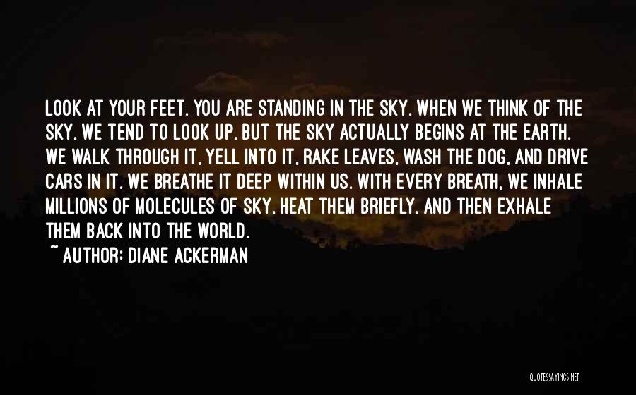 Look Deep Within Quotes By Diane Ackerman