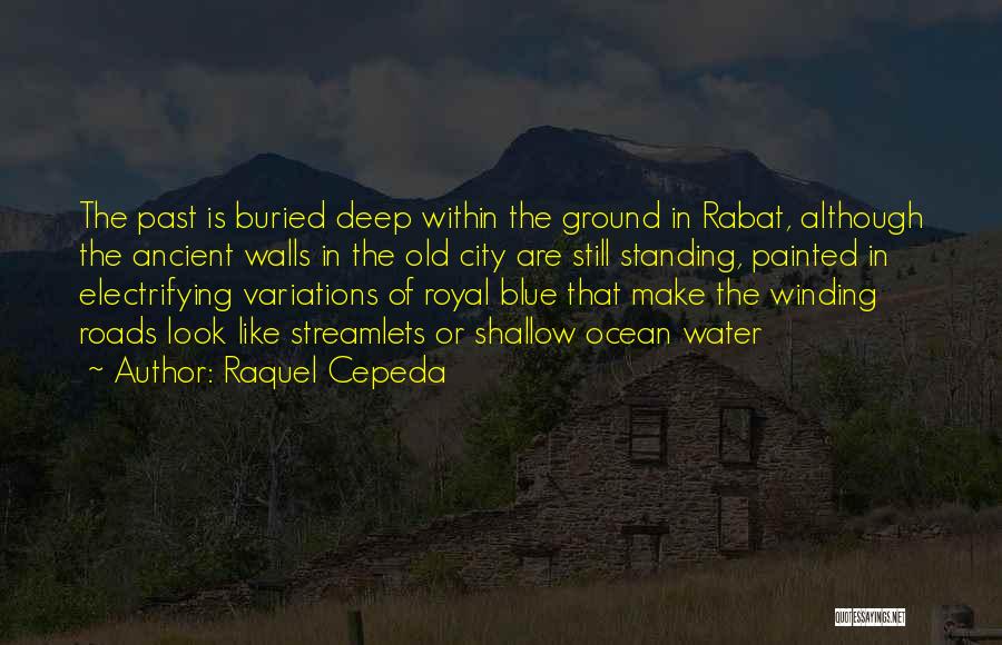 Look Deep Within Quotes By Raquel Cepeda