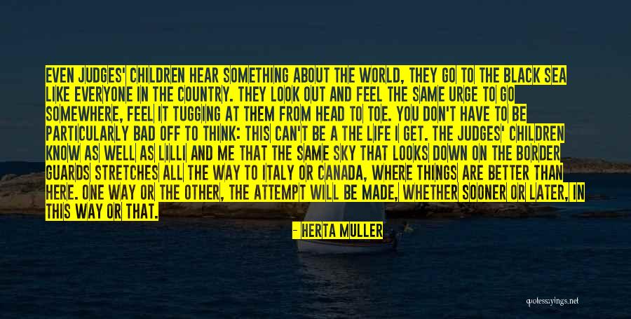 Look Down On Me Quotes By Herta Muller