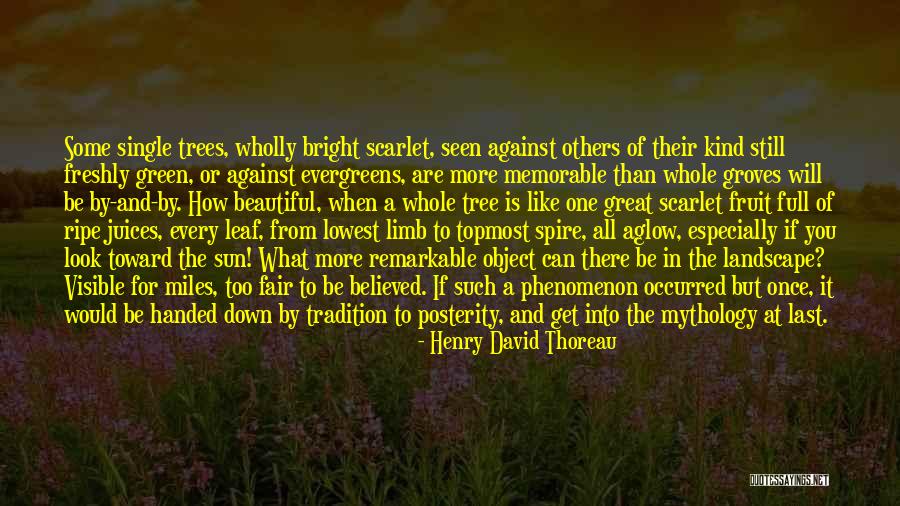 Look Down Others Quotes By Henry David Thoreau Look Down Others Quotes By Henry David Thoreau