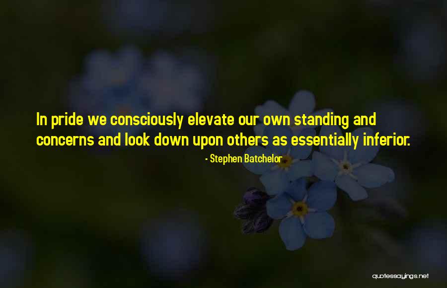 Look Down Others Quotes By Stephen Batchelor Look Down Others Quotes By Stephen Batchelor