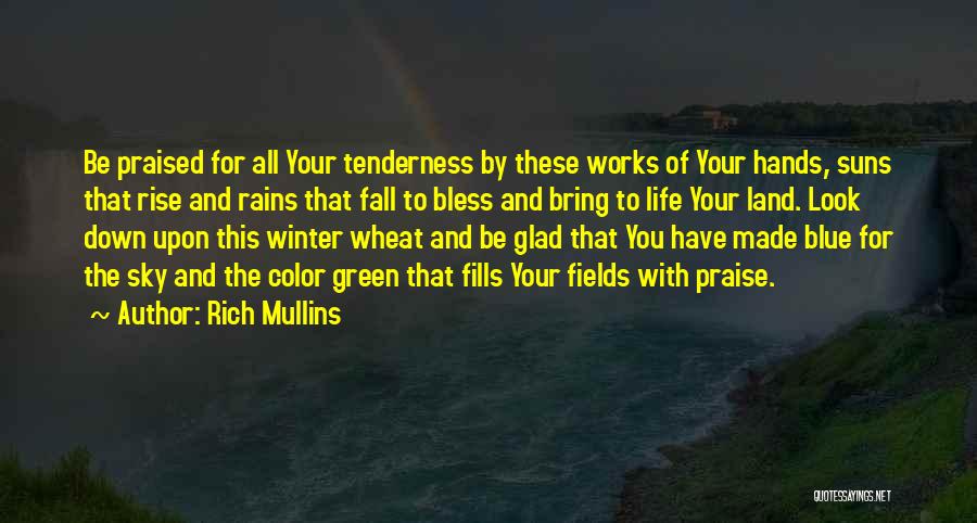 Look Down Upon Quotes By Rich Mullins