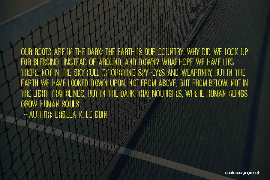 Look Down Upon Quotes By Ursula K. Le Guin