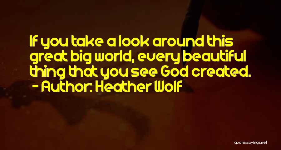 Look For Beauty In Everything Quotes By Heather Wolf