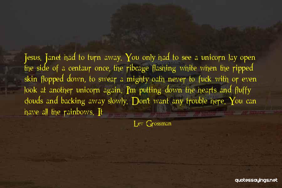 Look For Rainbows Quotes By Lev Grossman Look For Rainbows Quotes By Lev Grossman