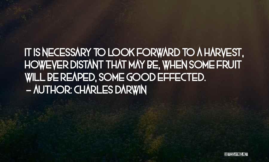 Look Forward Quotes By Charles Darwin