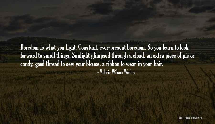 Look Forward To Quotes By Valerie Wilson Wesley Look Forward To Quotes By Valerie Wilson Wesley