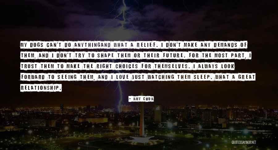 Look Forward To The Future Quotes By Amy Chua Look Forward To The Future Quotes By Amy Chua