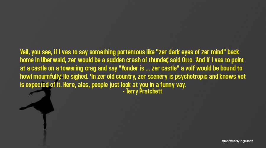 Look Funny Quotes By Terry Pratchett