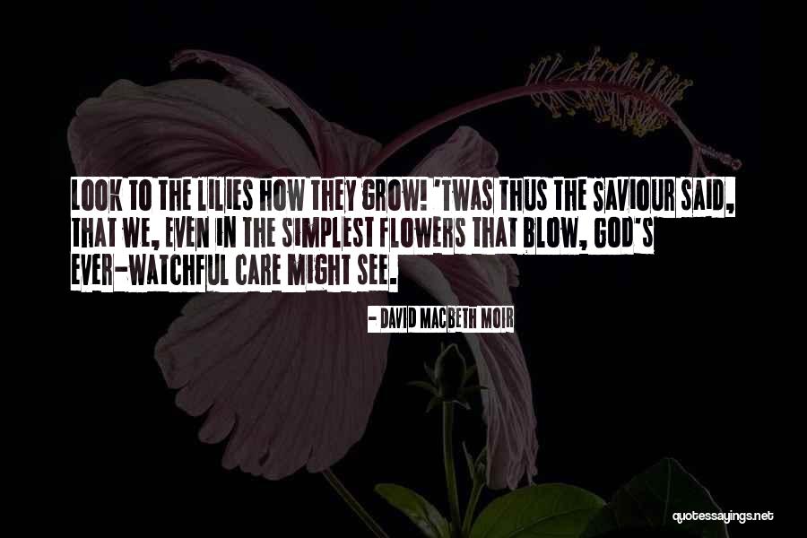 Look God Quotes By David Macbeth Moir Look God Quotes By David Macbeth Moir