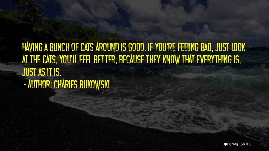 Look Good Feel Good Quotes By Charles Bukowski