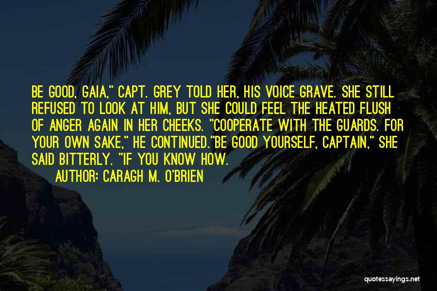 Look Good For Yourself Quotes By Caragh M. O'Brien