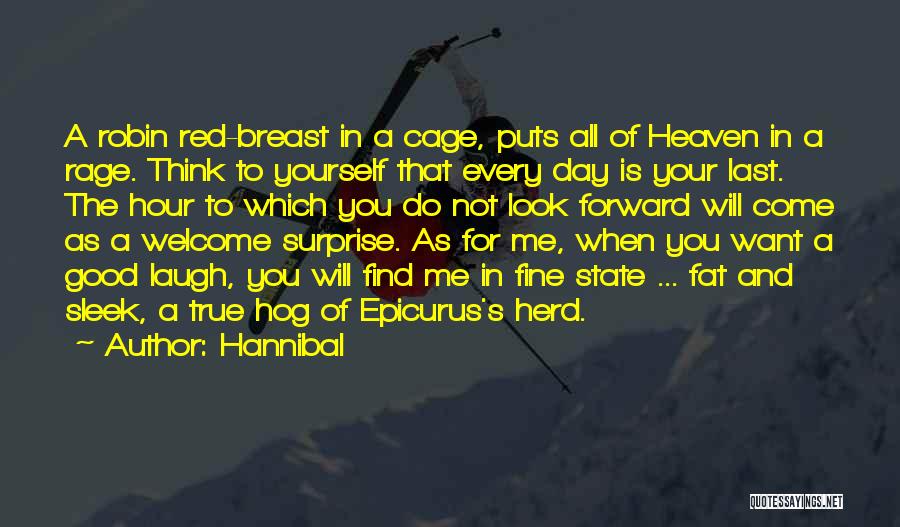 Look Good For Yourself Quotes By Hannibal