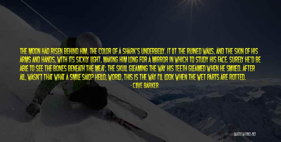 Look In The Mirror And Smile Quotes By Clive Barker Look In The Mirror And Smile Quotes By Clive Barker