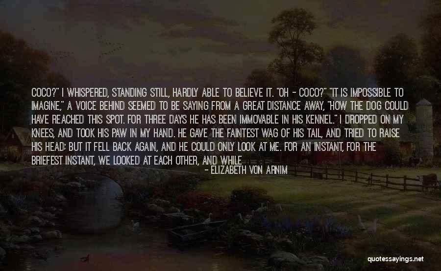 Look In These Eyes Quotes By Elizabeth Von Arnim